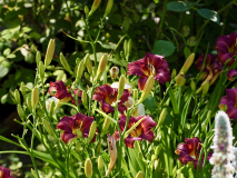 P6224328