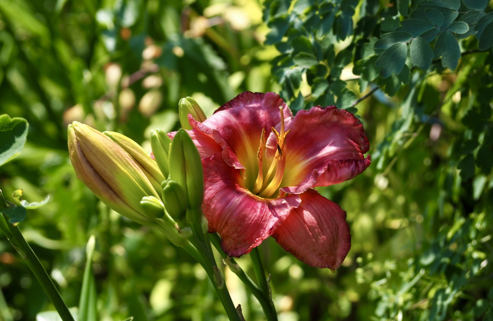P6274455