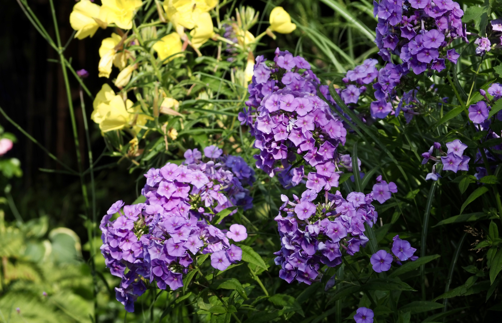 P7014511