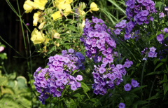 P7014511