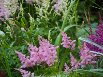P7014500