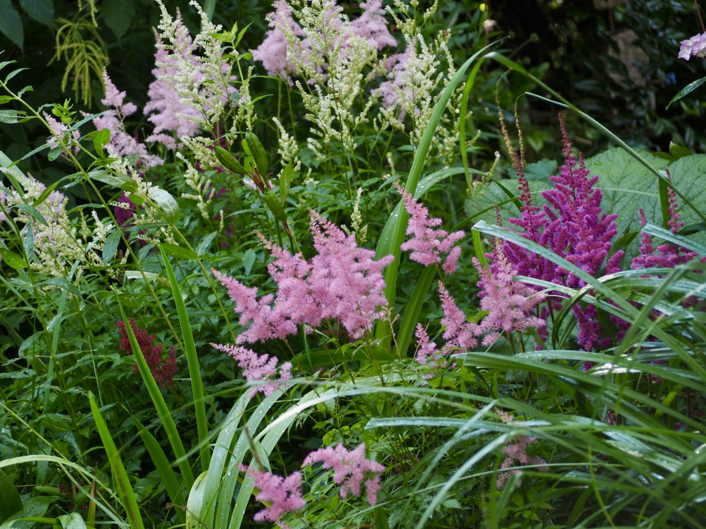 P7014499