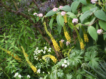 P6304493