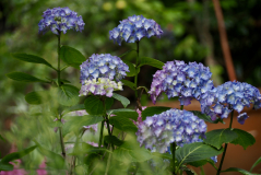 P6304478