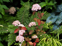 P6294466