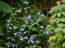 P6294467