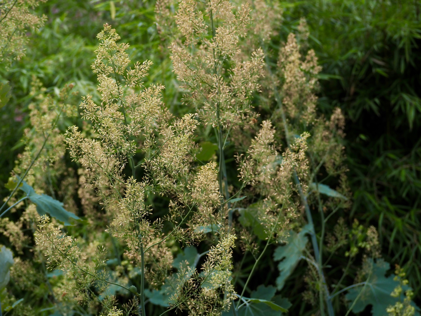 P7024555