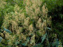 P7024555