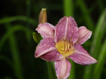 P7024552