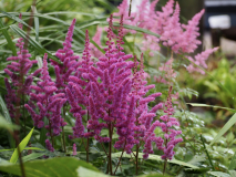 P7024549