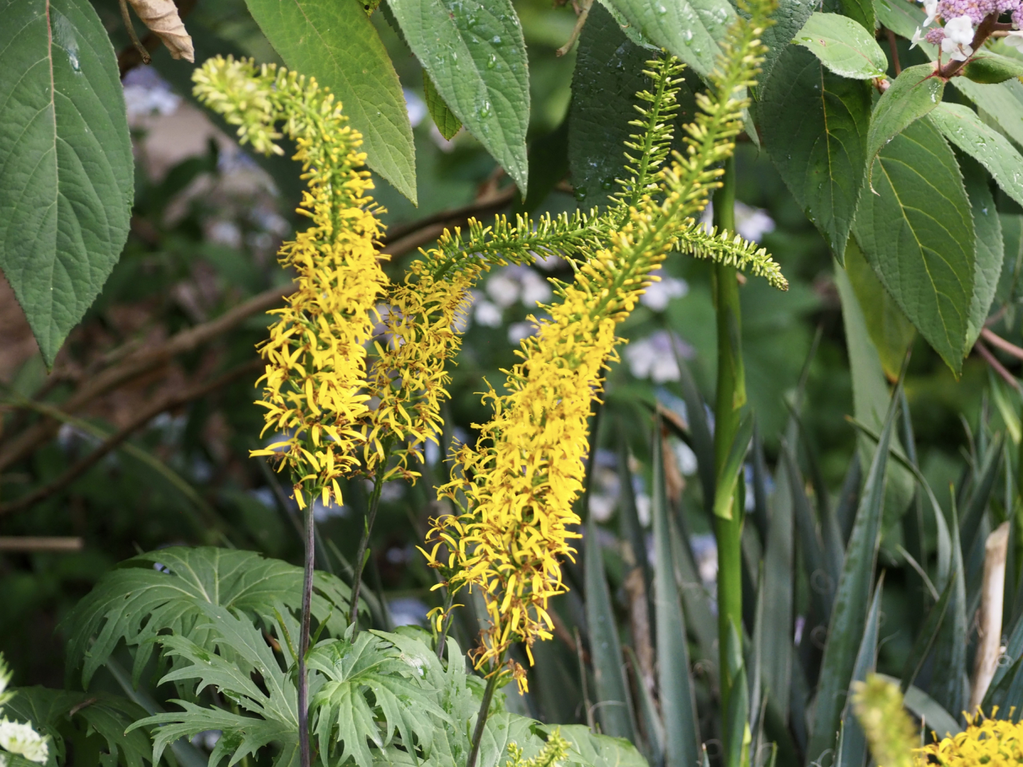 P7024548
