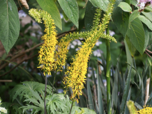 P7024548