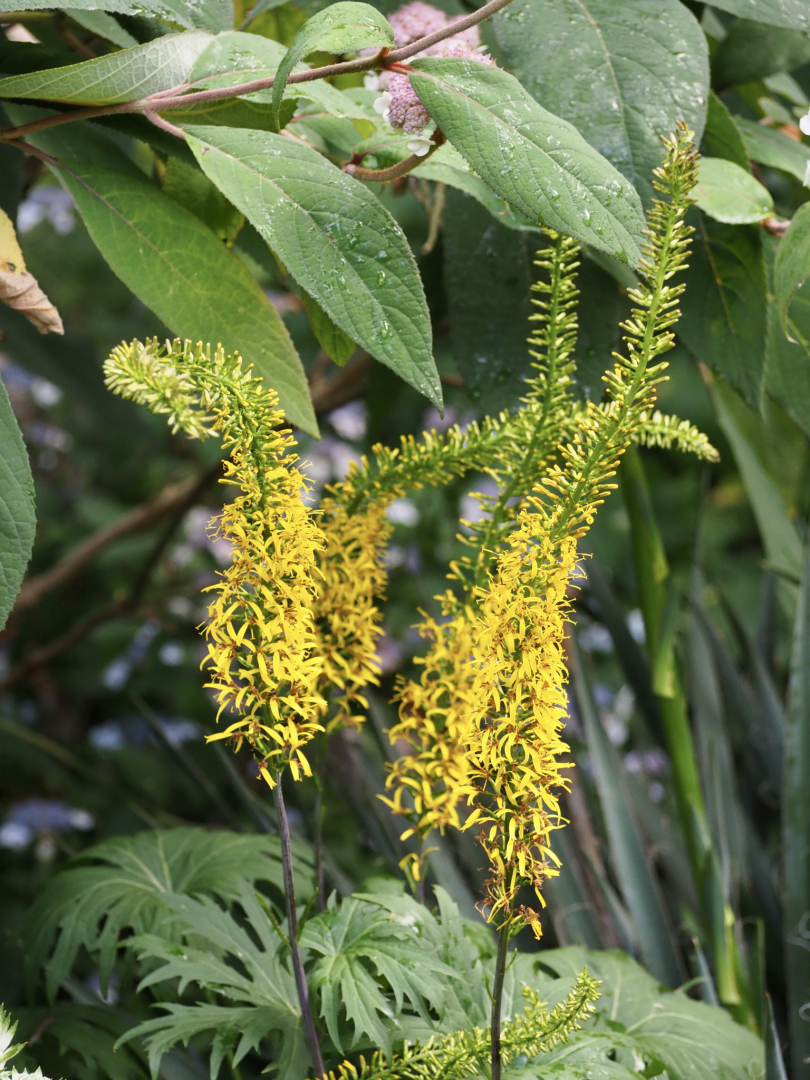 P7024547