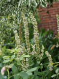 P7024542