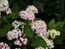 P7054568