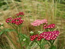 P7054560