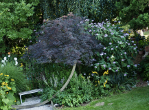 P7104634