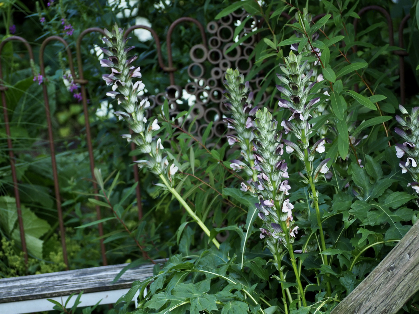 P7104630