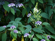P7104629