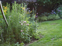 P7104623