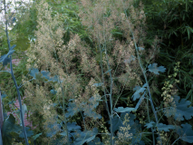P7104597