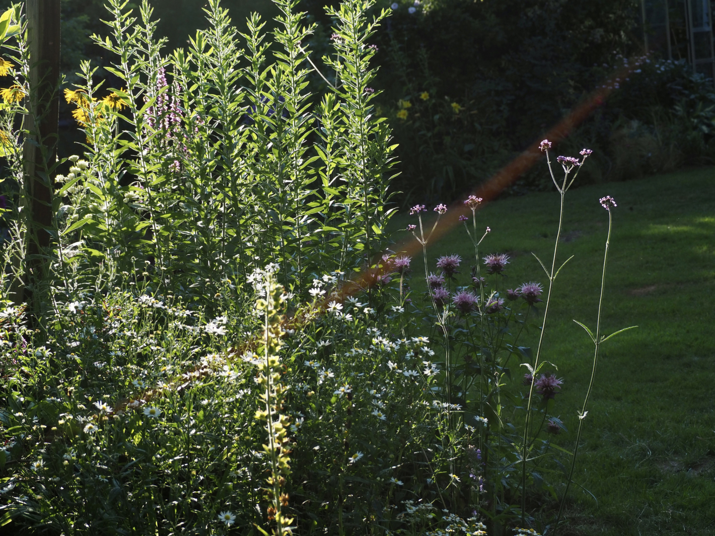 P7104588