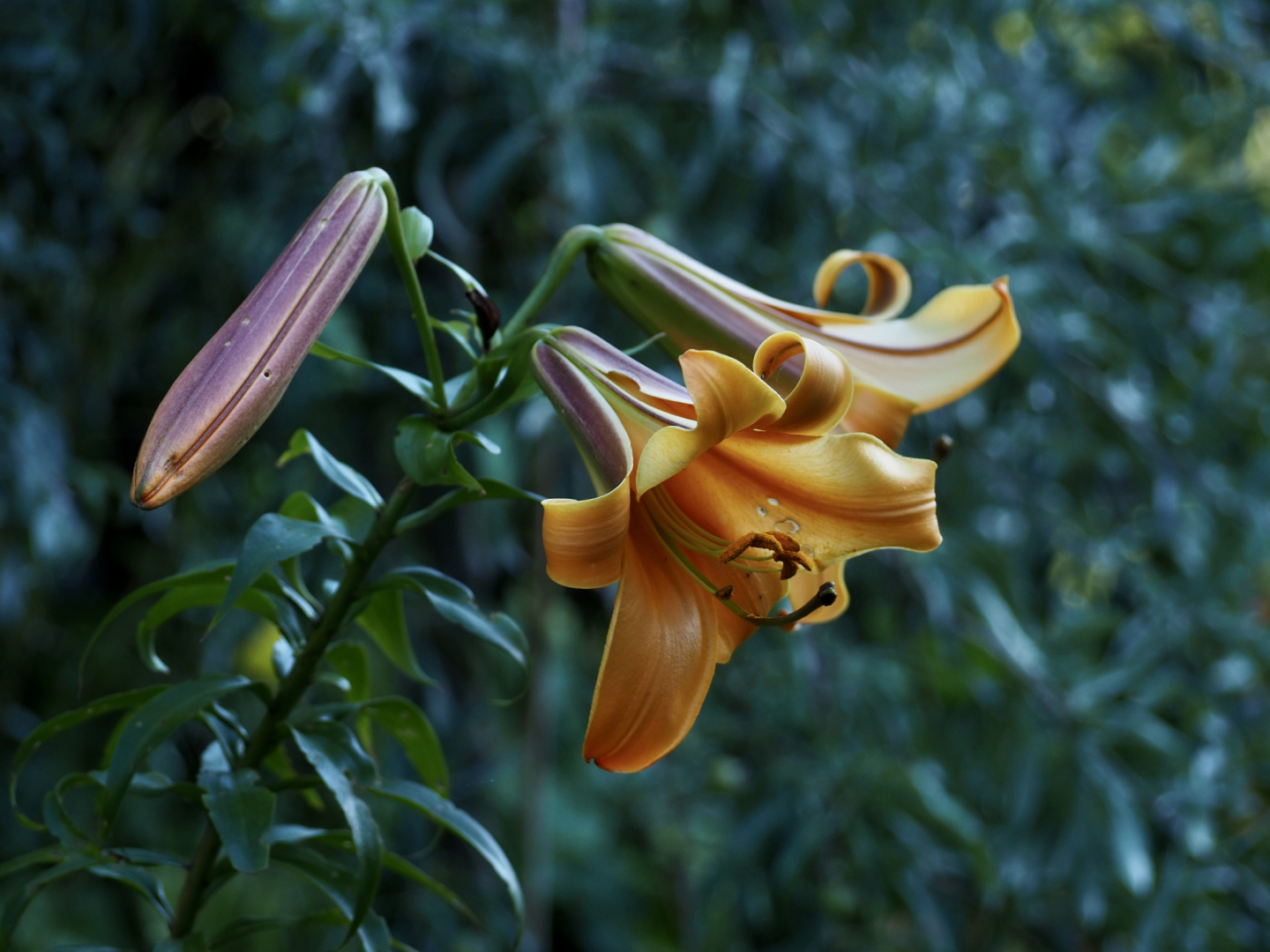 P7104583