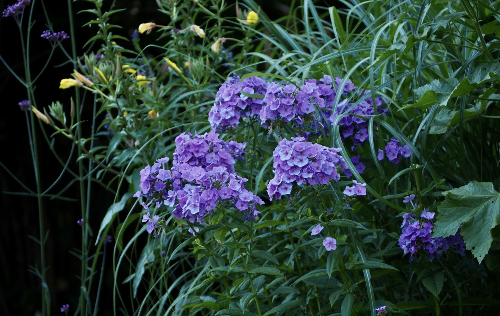 P7104580