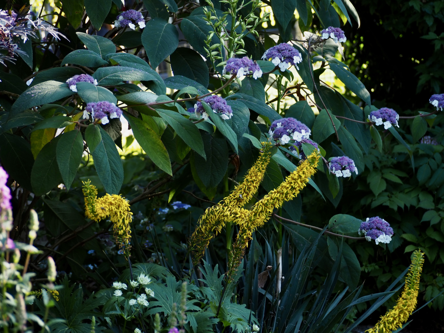 P7104579