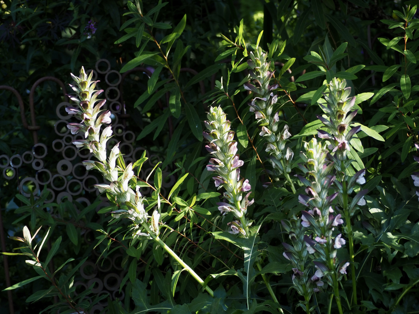 P7104578