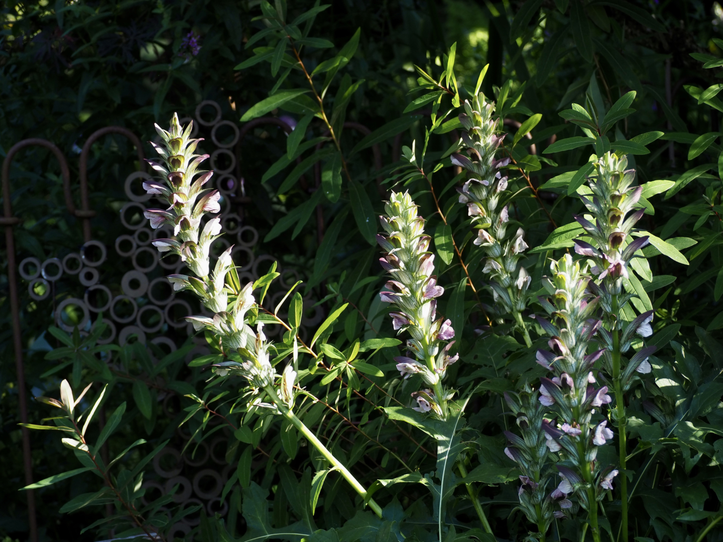 P7104577
