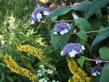 P7104575