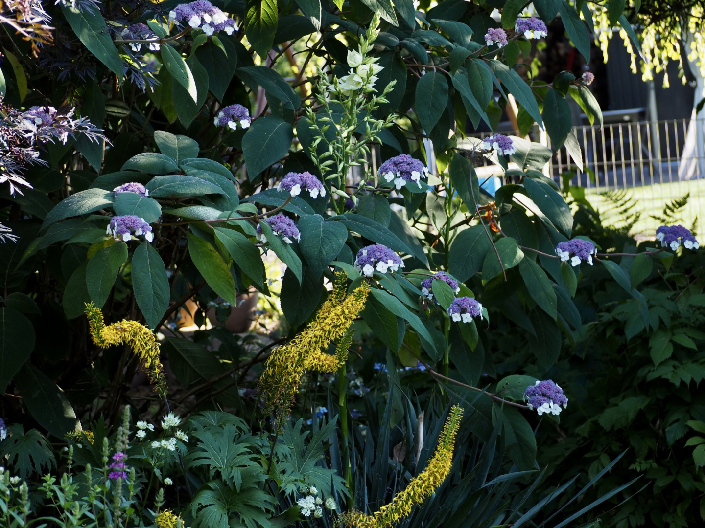 P7104574