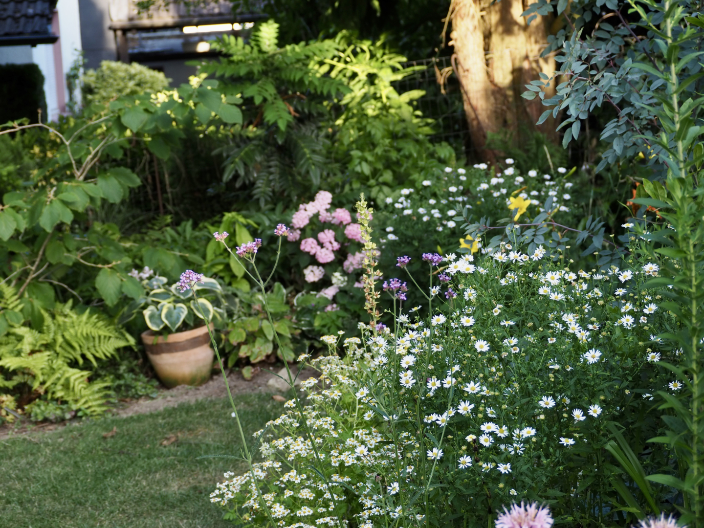 P7124666
