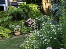 P7124666