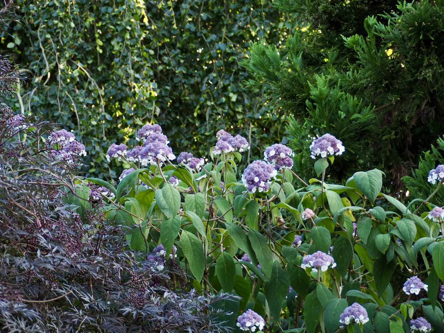 P7124664