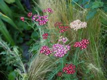 P7124654