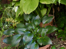 P7124649