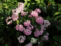 P7124646