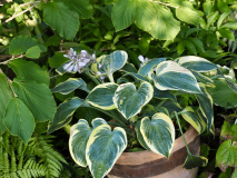 P7124645