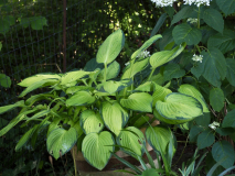 P7124643