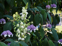 P7124642