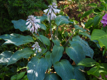 P7134672