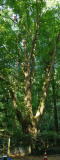 07_26_25_linde