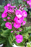 IMG_20260716_1956_Unbenannt_?