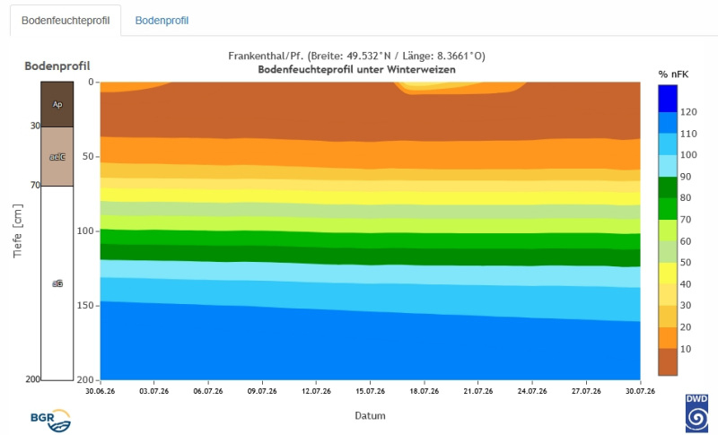 2026-07-31_Frankenthal_Bodenfeuchteprofil_unter_Winterweizen