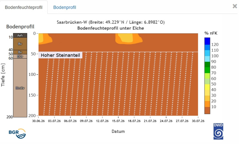 2026-07-31_SBW_Bodenfeuchteprofil_unter_Eiche