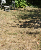 2026-08-14_Krautrasen1_7251_Sonne