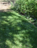 2026-08-14_Krautrasen2_7255_Schatten