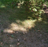 2026-08-14_Krautrasen3_7258_mixed